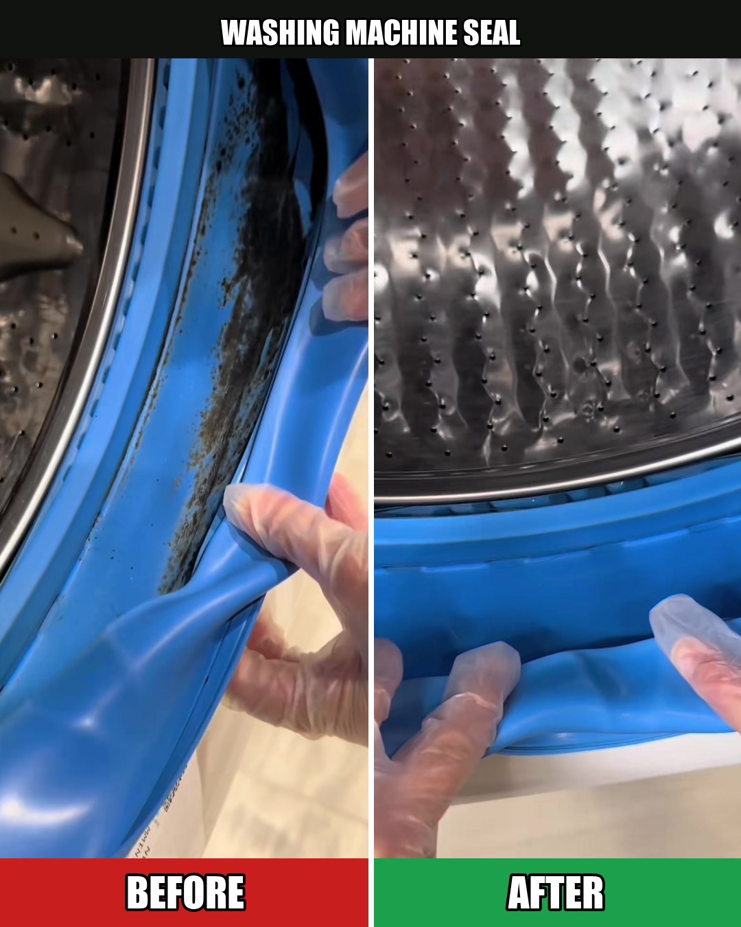 Washing Machine Seal