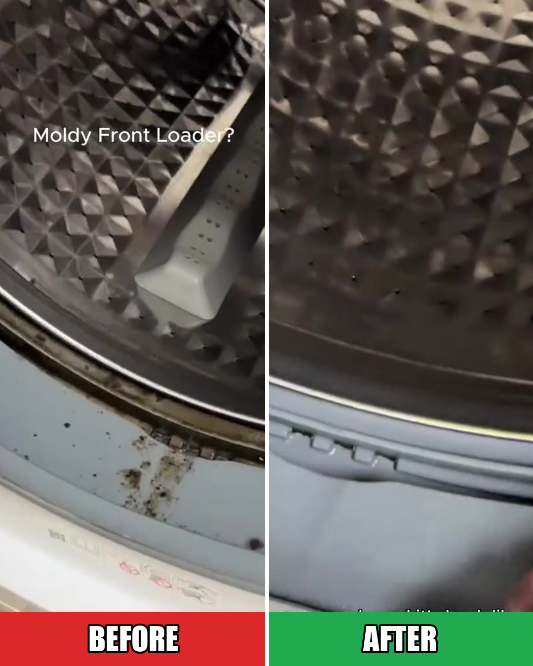 Anti-Mold Mildew Remover Gel